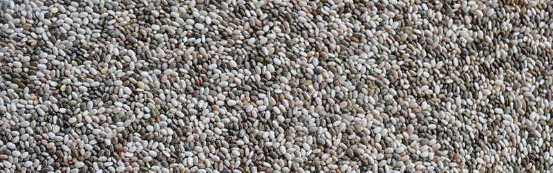 Semillas de Chía: Propiedades y Beneficios para tu Salud 5 semillas de chía Semillas de chía - Fuente de Proteína