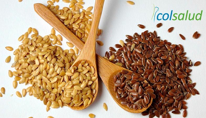 Semillas de Linaza Propiedades y Beneficios para tu Salud