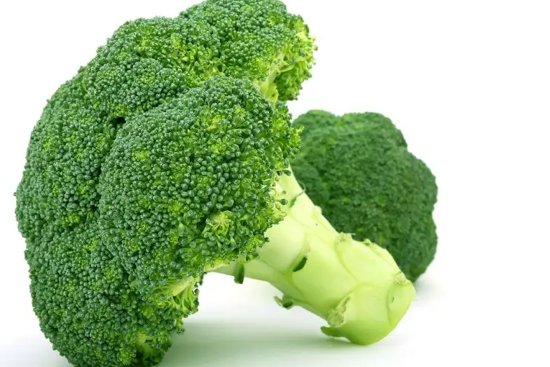 39 alimentos que casi no contienen calorías 2 alimentos que casi no contienen calorías brocoli1 Servicios Médicos Colsalud Limitada alimentos que casi no contienen calorías