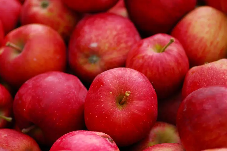 39 alimentos que casi no contienen calorías 1 alimentos que casi no contienen calorías manzanas1 Servicios Médicos Colsalud Limitada alimentos que casi no contienen calorías