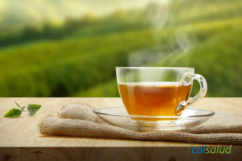 Como te puede ayudar el té verde a perder peso 1 te verde te verde22