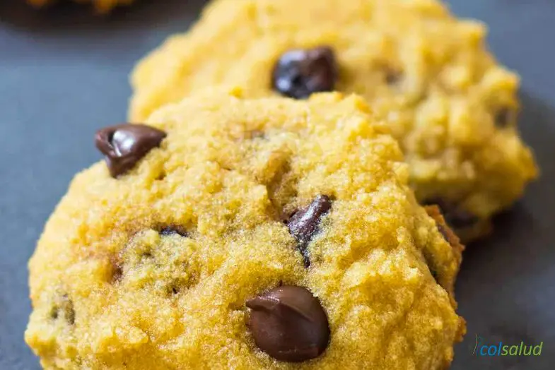 Galletas de chocolate con harina de coco 1 galletas de chocolate galletas-chocolate-harina-coco2