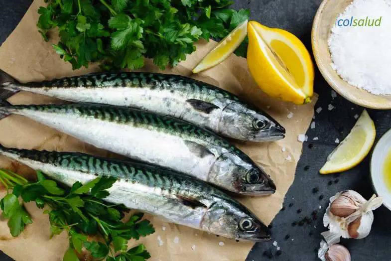 ¿Qué son los ácidos grasos omega-3? Explicado en términos simples 1 omega-3 omega3bc