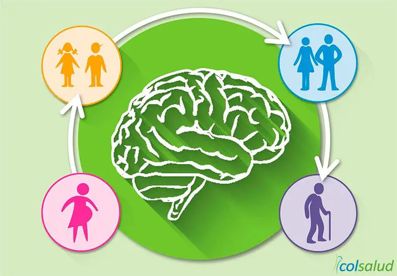6 Suplementos que estimulan tu cerebro y de paso te ayudan a bajar de peso 1 suplementos Suplementos DHA para la salud del cerebro en todas las etapas de la vida