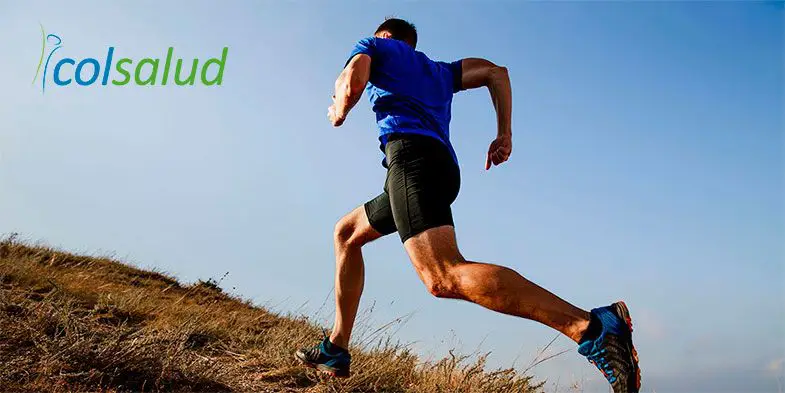 6 Suplementos que estimulan tu cerebro y de paso te ayudan a bajar de peso 6 suplementos suplementos de magnesio y el ejercicio