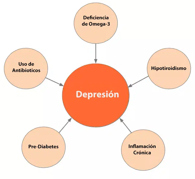 Consulta medicina funcional Colsalud Santiago Chile - Diferentes causas para una enfermedad