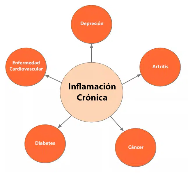 Consulta medicina funcional Colsalud Santiago Chile - Una Causa diferentes Condiciones