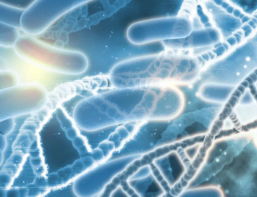 Microbiota intestinal: qué es, por qué importa y cómo cuidarla 3 medicina funcional,medicina integrativa,estilo de vida,terapia neural Untitled design 42 Servicios Médicos Colsalud Limitada medicina funcional,medicina integrativa,estilo de vida,terapia neural